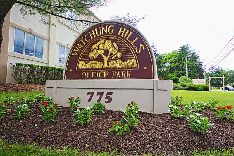 Watching Hills Office Park Stone Sign on landscaped grass with red flowers